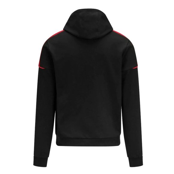 Porsche Motorsport Logo Hoodie - Picture 2 of 2